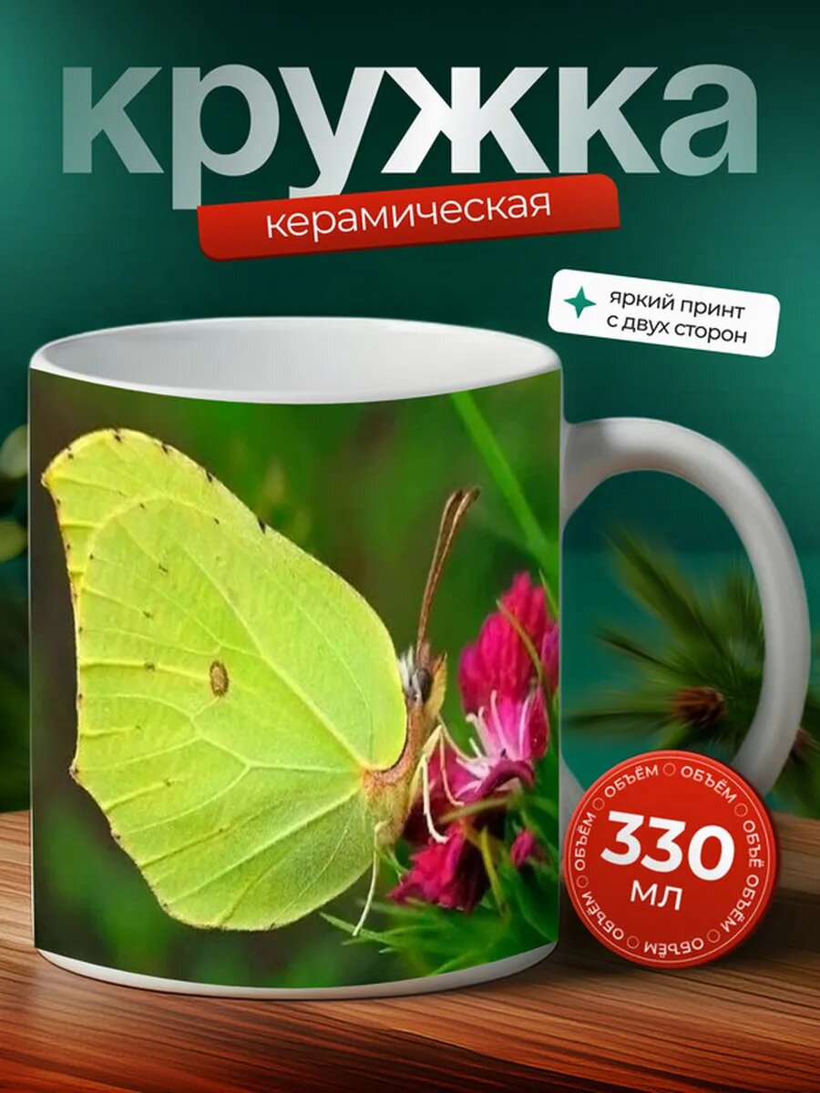 Кружка Лимонница насекомое 3,