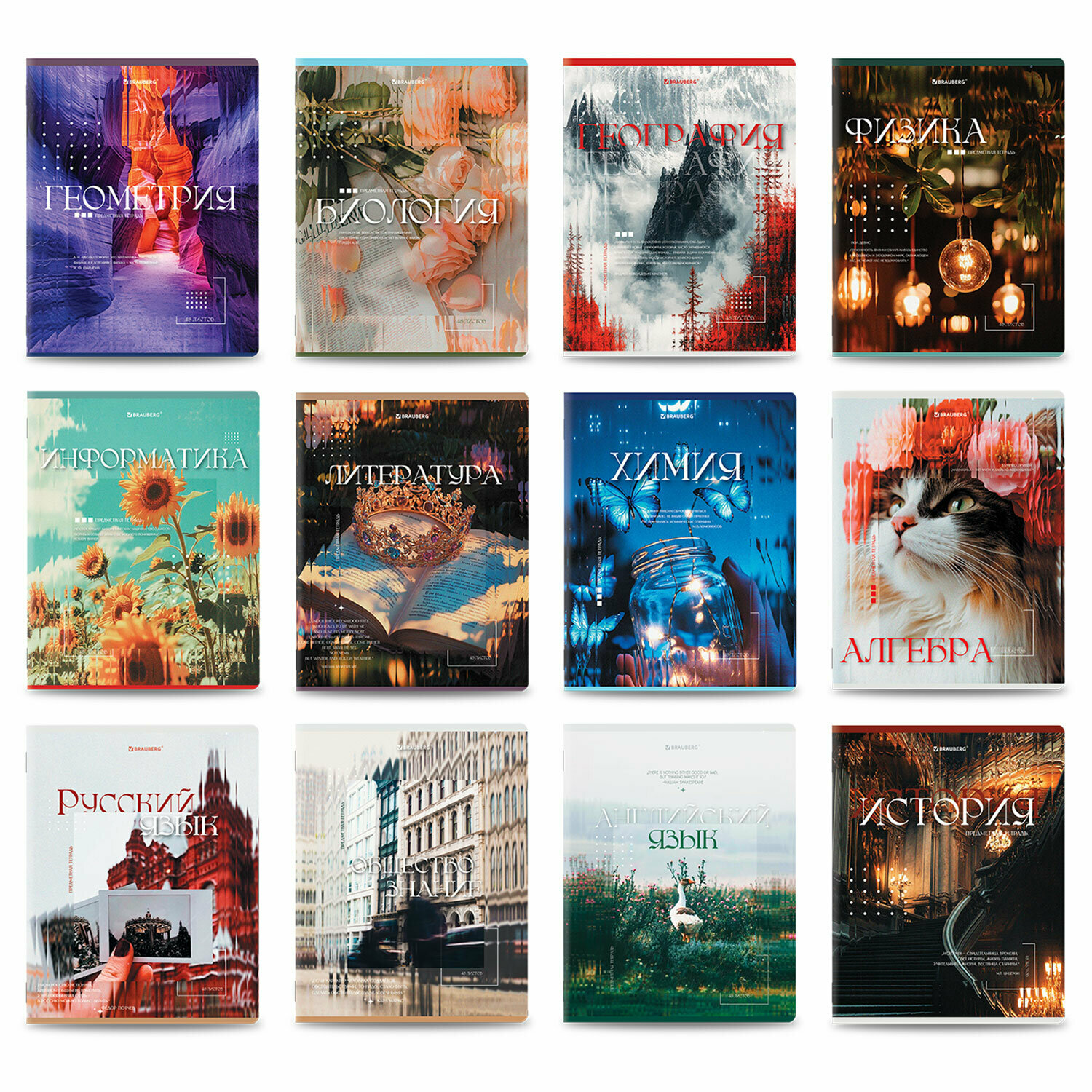 Тетради предметные, комплект 12 предметов, 48 л, глянцевый УФ-лак, BRAUBERG "ILLUSION", 405171