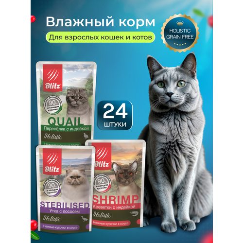 Влажный корм для кошек Bliz Holistic набор паучей, 85 г x24 шт