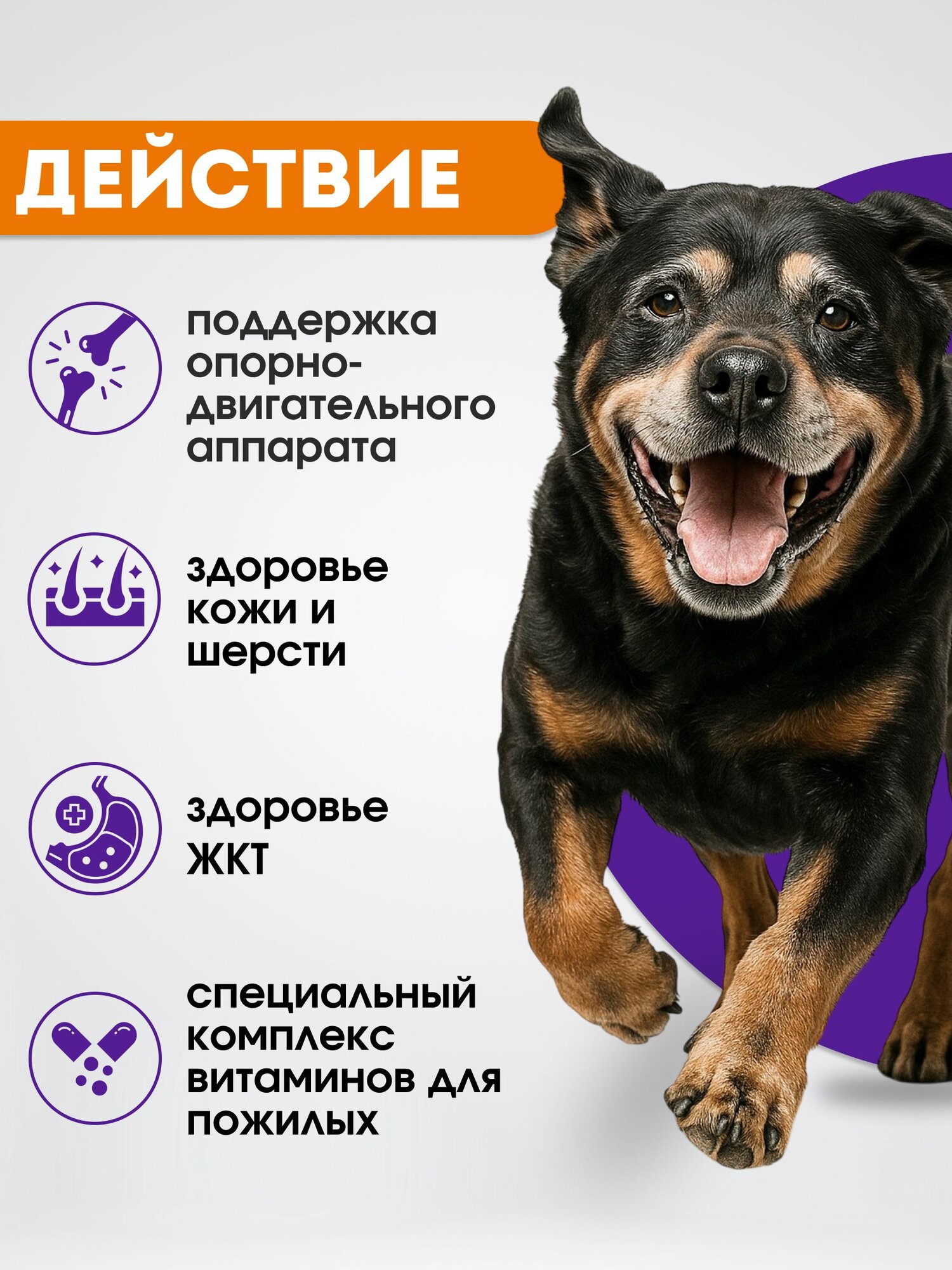 Витамины для пожилых собак мультивитаминный комплекс , 200 г — фото 1