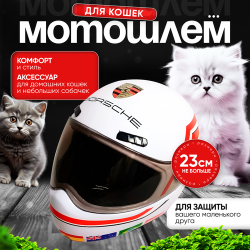 Мотоциклетный шлем для кошек Felino, белый