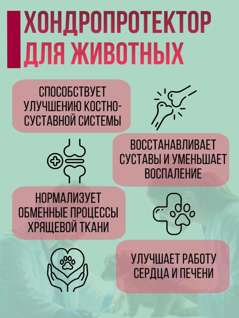 Изображение Артрогликан 300 таблеток витамины для животных хондропротектор для собак кошек хорьков крыс
