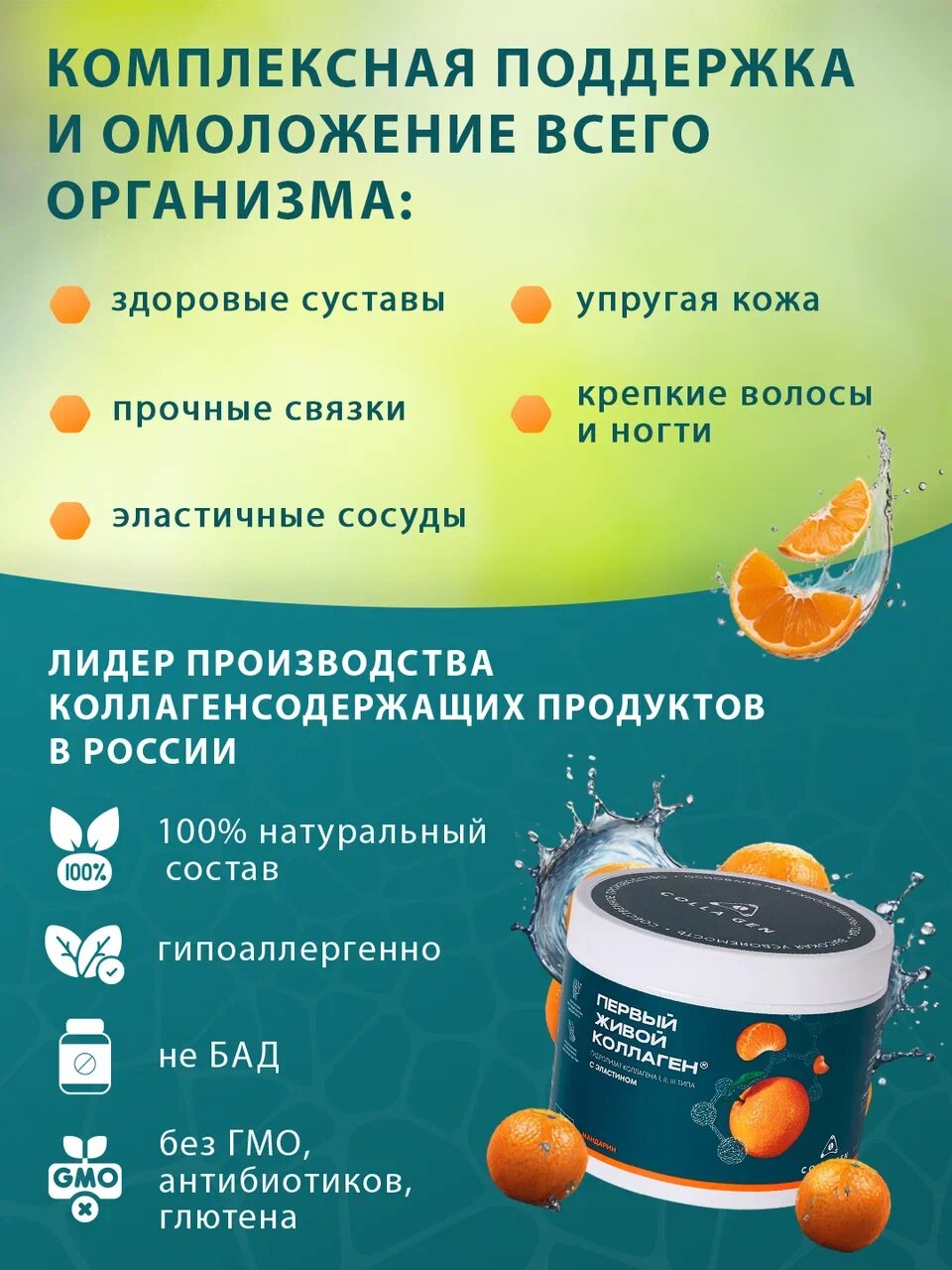 Картинки Живой коллаген с эластином от бренда COLLA GEN , вкус мандарин, для укрепления связок и суставов, объём 500 гр.