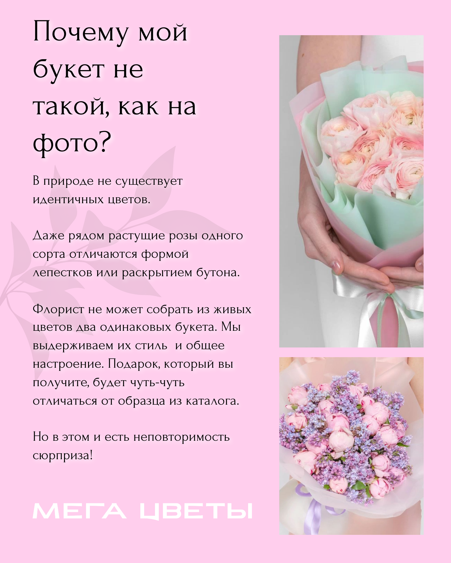 Дуо-букет Мегацвет24 "Хризантема кустовая "Ромашка" и Пшеница", розовый/бежевый, дизайнерская упаковка — фото 1