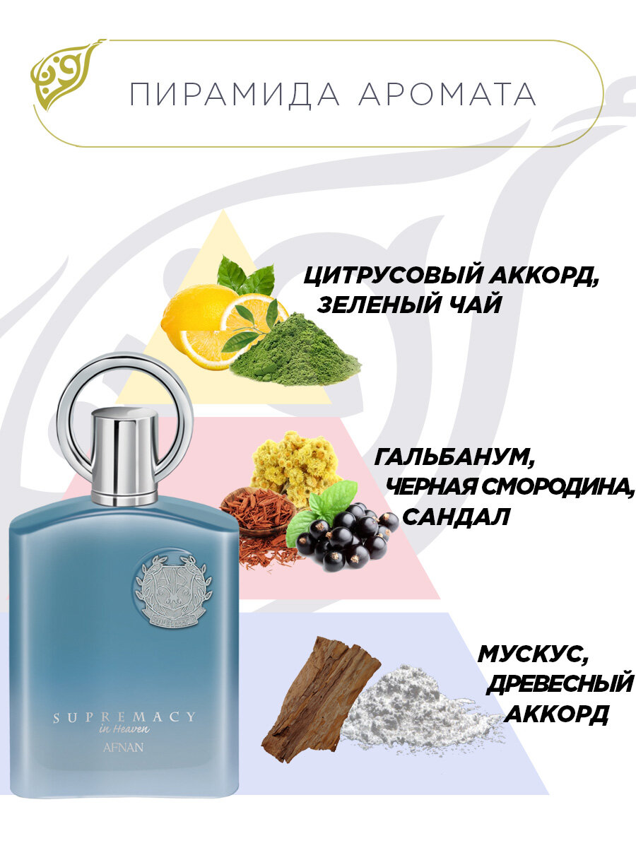 Парфюмерная вода для мужчин Afnan Supremacy In Heaven, фужерный аромат, 100 мл. — фото 1