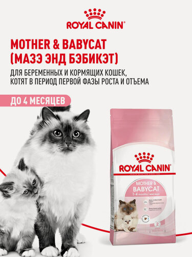 Изображение товара Сухой корм для котят, беременных и кормящих кошек Royal Canin Mother&Babycat, 2 кг