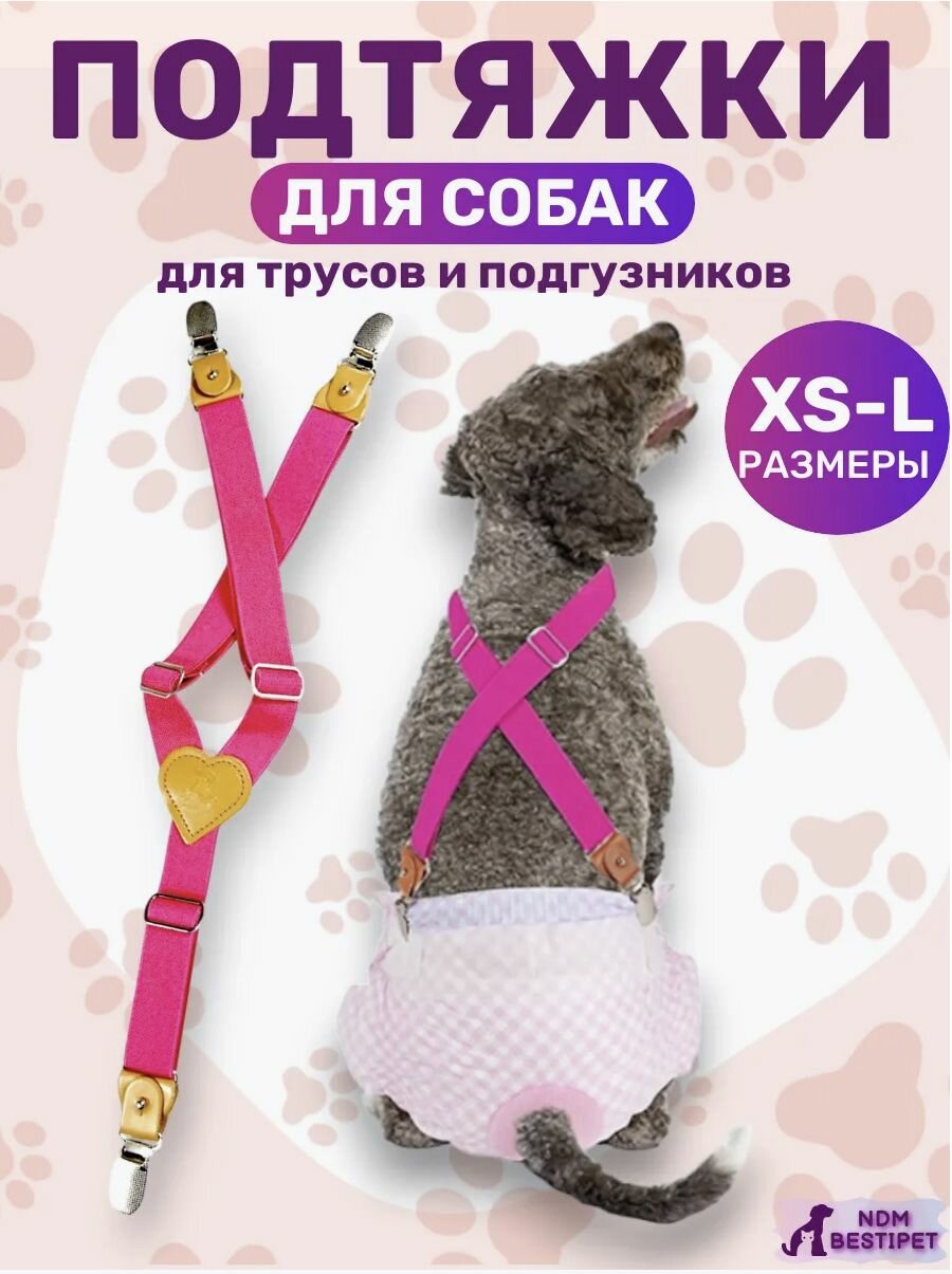 Подтяжки для собак для Подгузников и Трусов розовый S — фото 1