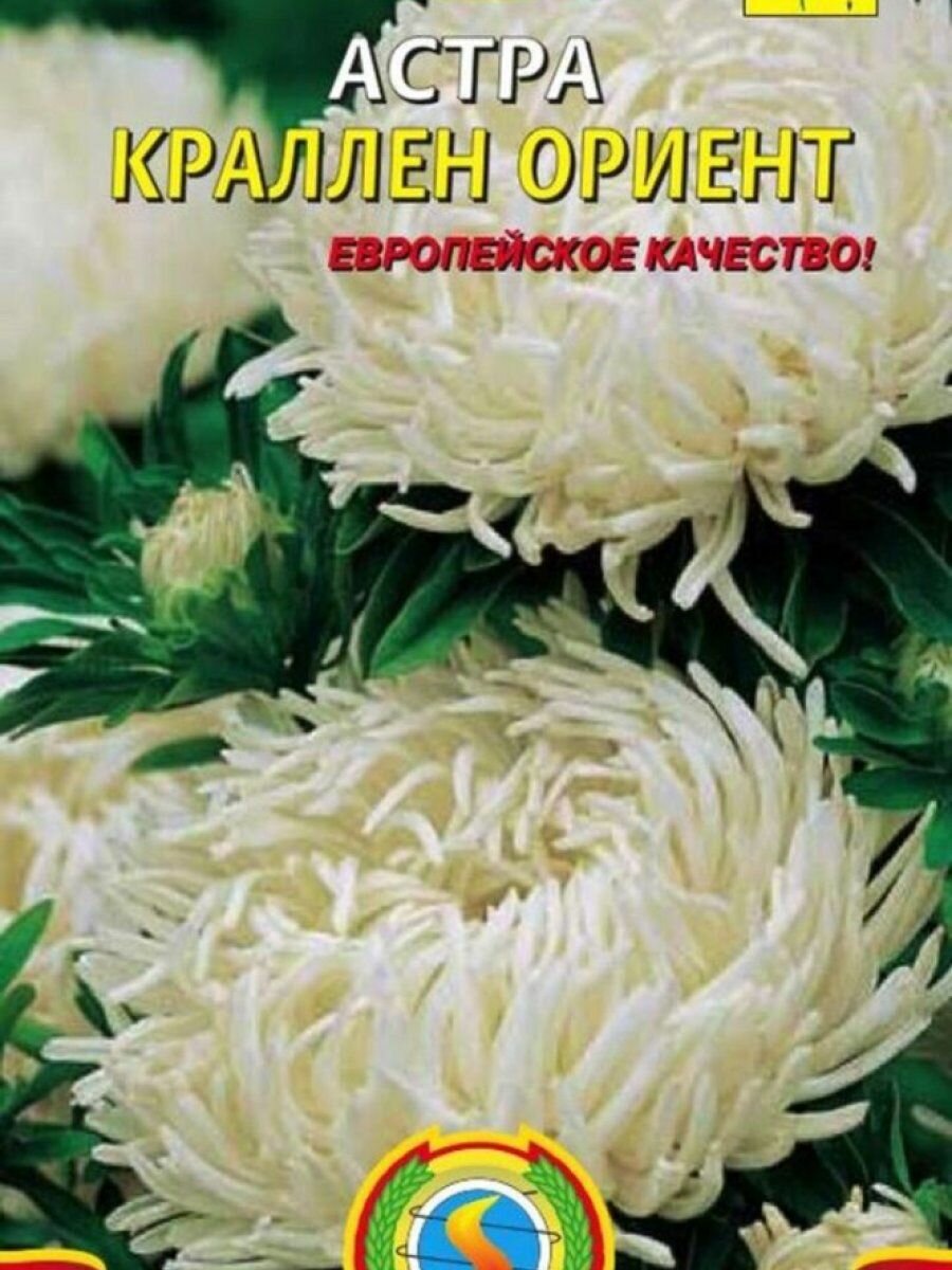 Семена Астра Краллен Ориент 03 гр Плазменные семена