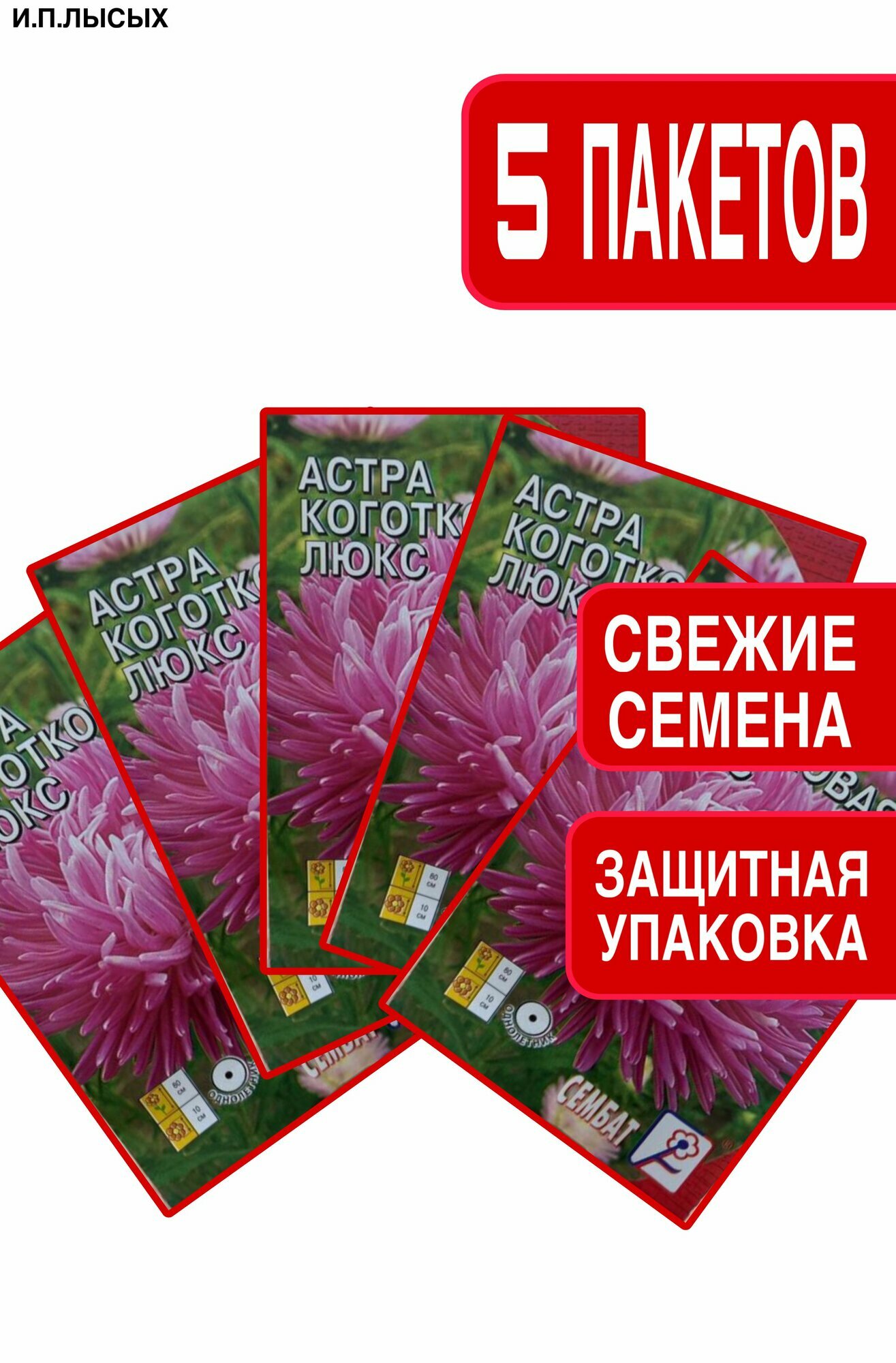 Семена Астра коготковая 
