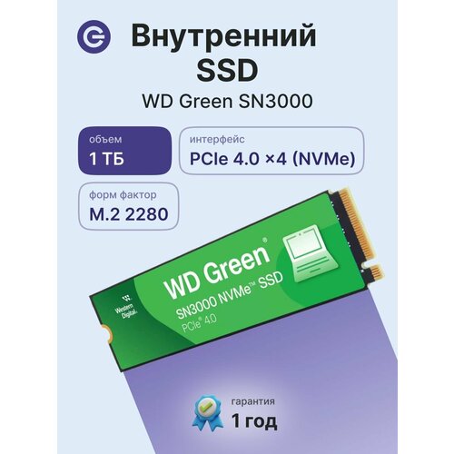 Внутренний SSD диск WD Green SN3000 1000GB M2 WDS100T4G0E 5520₽
