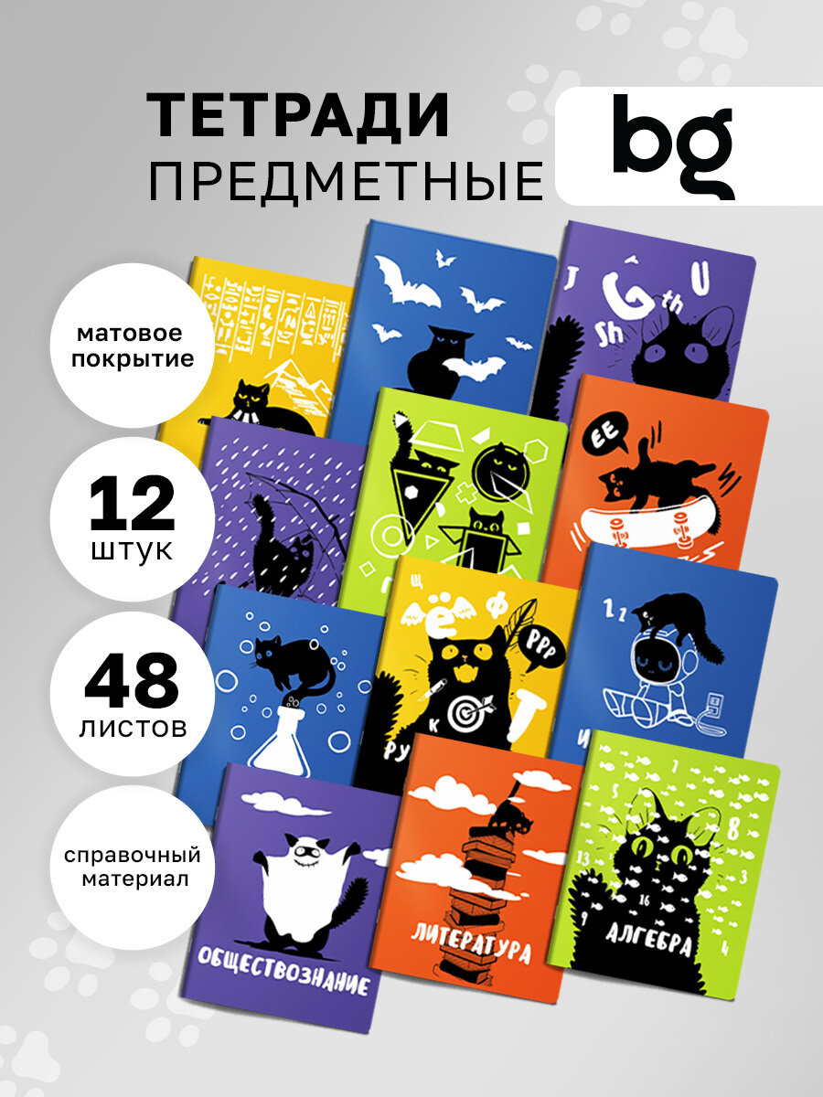 Комплект школьных предметных тетрадей 48 листов BG "Черный Кот", матовая ламинация, 12 штук