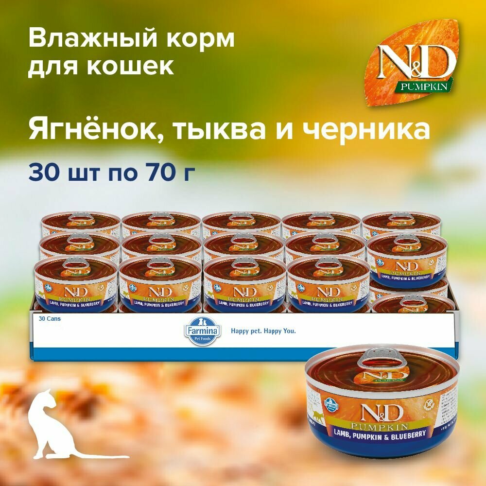 Картинки Влажный корм для кошек Farmina N&D Cat Pumpkin c ягненком, черникой и тыквой, 30 консерв по 70гр