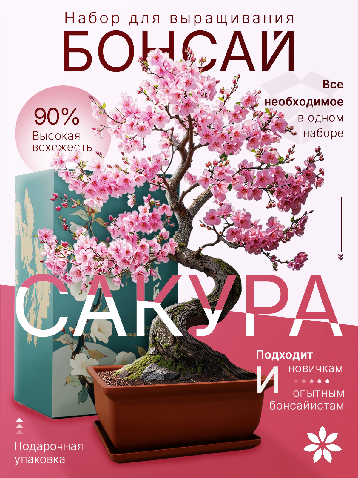 Набор для выращивания растений Бонсай Сакура