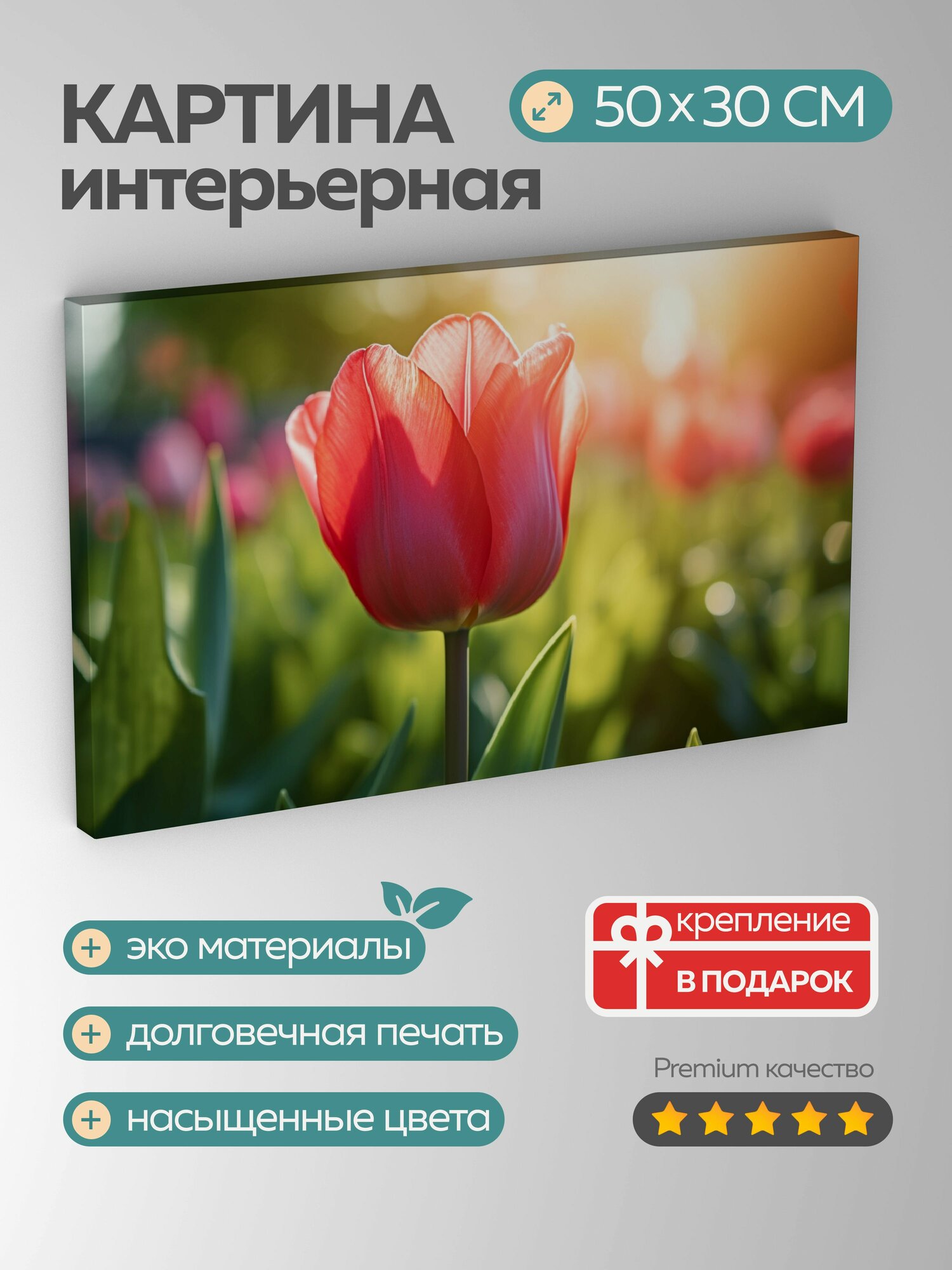 Картина на холсте интерьерная 50х30 см, тюльпан, крупный план, детали, лепестки, высокий, красный цвет, зеленая листва