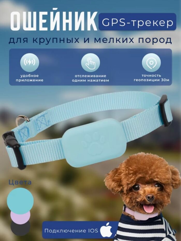 Ошейник GPS локатор для кошек и собак только IOS