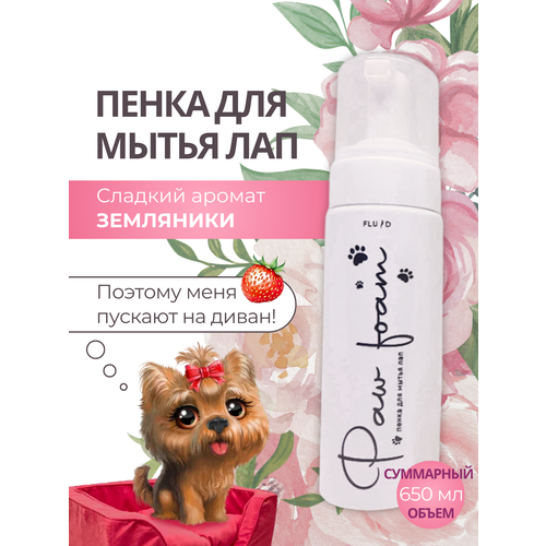 Пенка-мыло Fluid "Земляника" антибактериальная, для мытья лап 500 мл