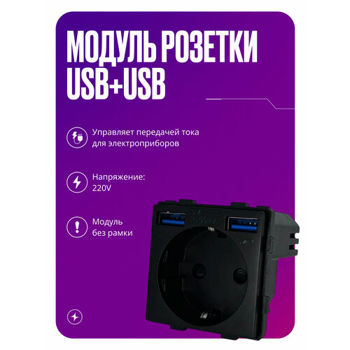 фото Модуль розетки с usb+usb на 16a с заземлением и шторками, для рамки, черного цвета izba tech