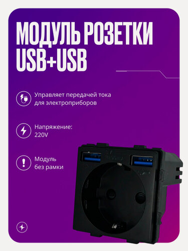 Изображение товара Модуль розетки с USB+USB на 16A с заземлением и шторками, для рамки, черного цвета