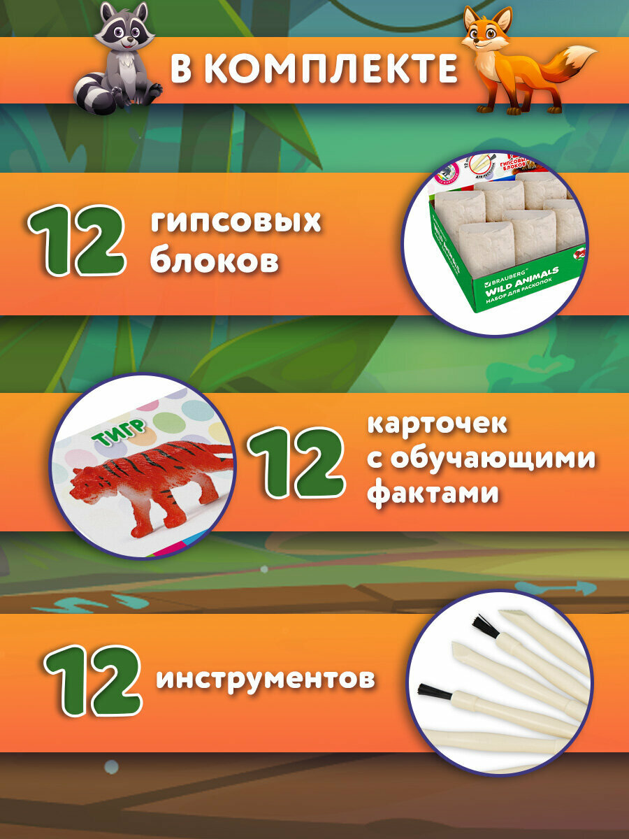 Раскопки для детей Дикие животные, подарочный набор археологический, игрушки для мальчиков и девочек, 2 видов, карточки, инструменты, Brauberg Kids, 665128 — фото 1