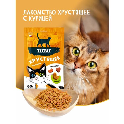 Хрустящее лакомство для кошек TiTBiT с курицей 60 г