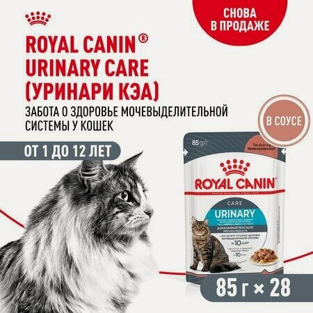 Изображение товара ROYAL CANIN URINARY CARE 28 шт по 85 г кусочки в соусе, влажный корм для взрослых кошек при мочекаменной болезни