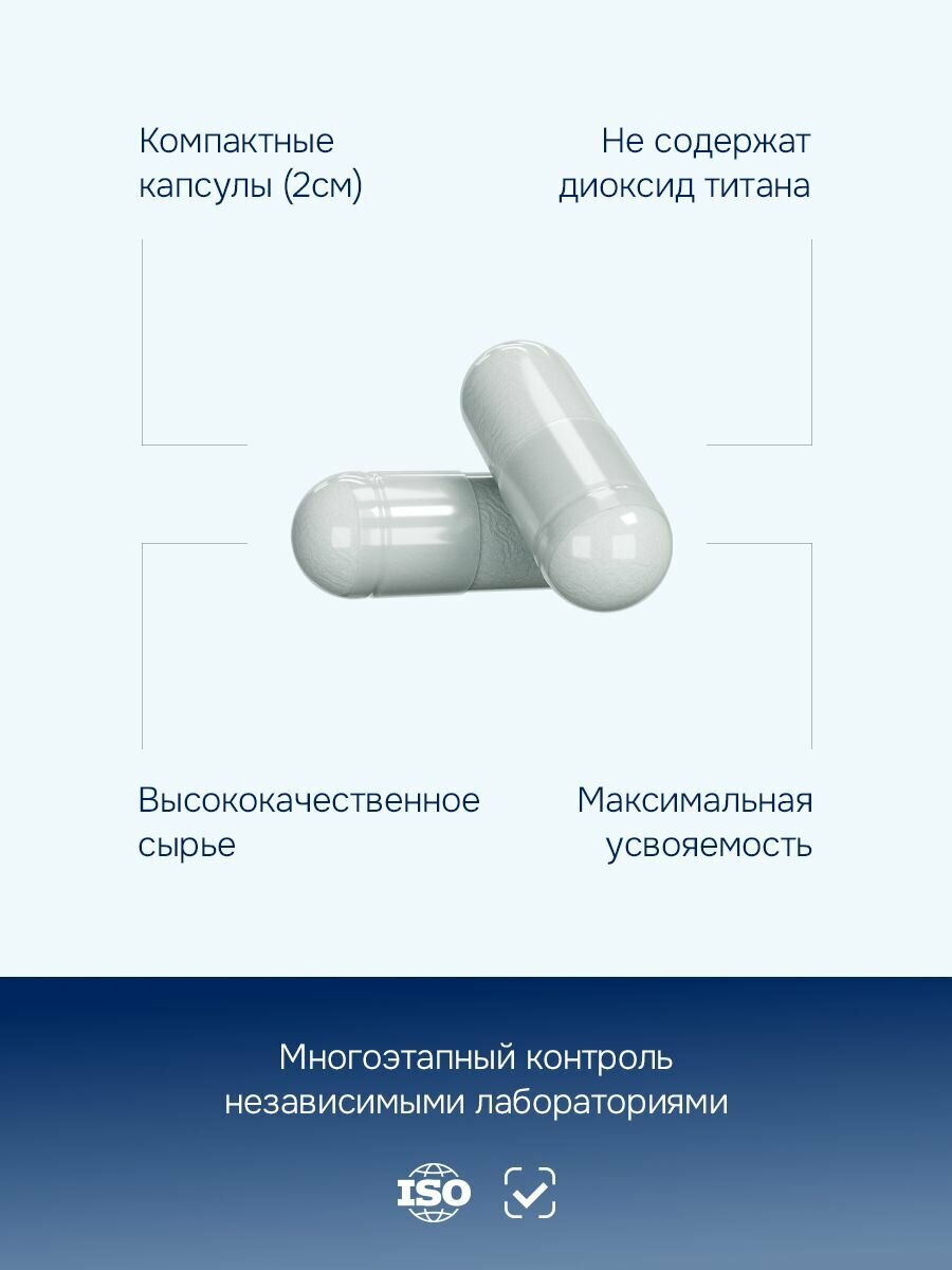 Изображение Готу Кола + Рутин 500 мг, витамины / бады для мозга, нервной системы, концентрации, 60 капсул