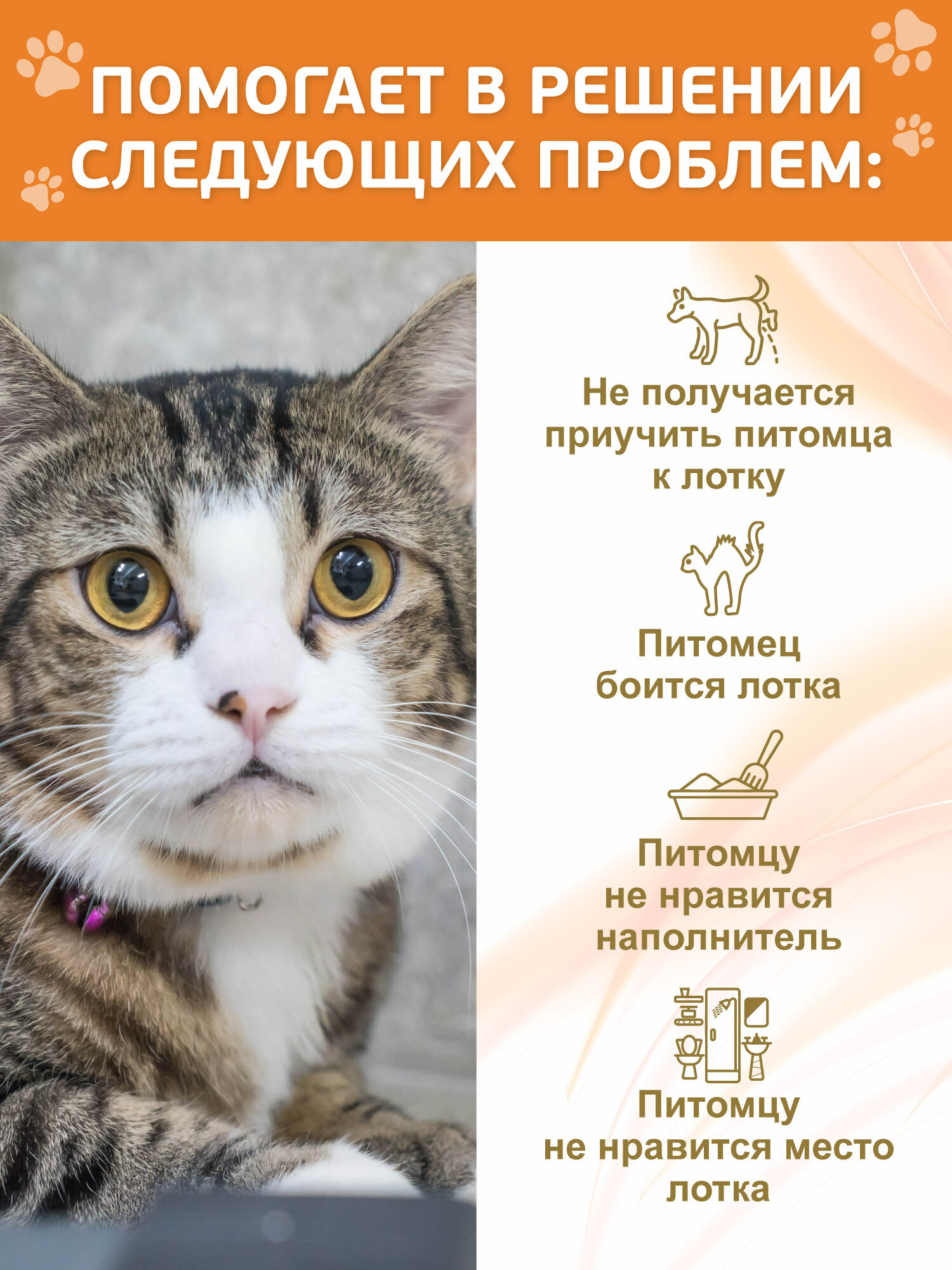 Спрей для коррекции поведения Animal Play Приучение к туалету для собак и кошек 200 мл — фото 1