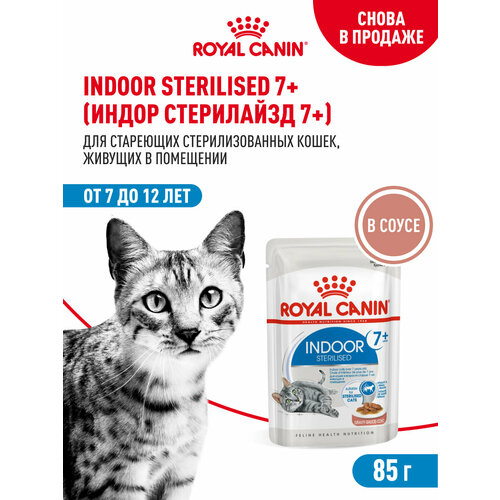 Royal Canin INDOOR STERILISED 7+ (индор стерилайзд 7+) Корм консервированный полнорационный для кошек (в возрасте от 7 до 12 лет), живущих в помещении, мелкие кусочки в соусе.
