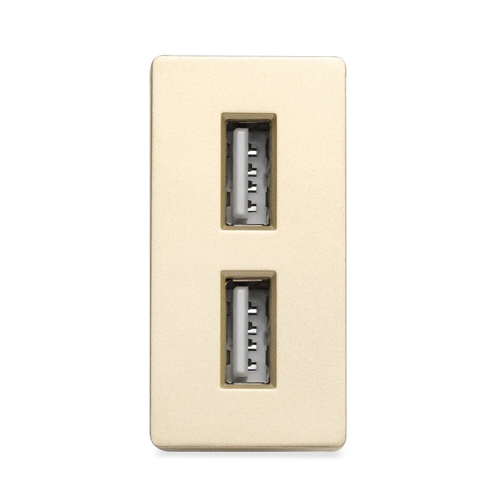 Розетка Vell, 1/2, USB A + USB A разъем, 2.4 А, 5 В, модуль, золотая {GD-1/2-AA}