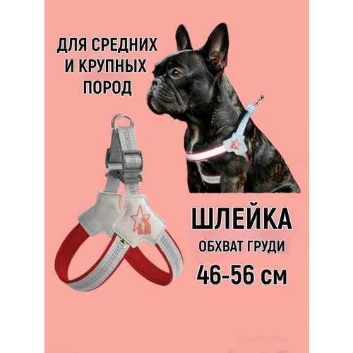 Шлейка с поводком для собак мелких пород и кошек. XS. Обхват груди 30-39 см. Красная