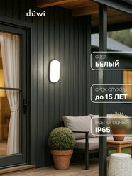 Светильник светодиодный Oval IP65 овальный 18W 4000К влагозащита duwi 25103 3