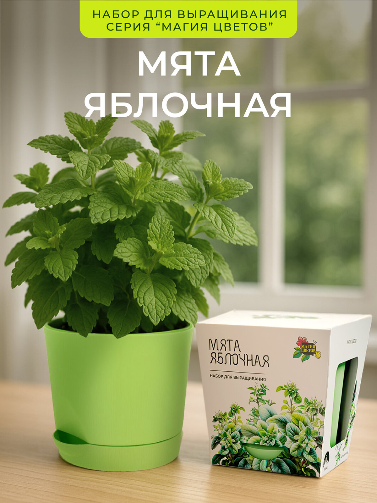 Набор для выращивания растений бренда 