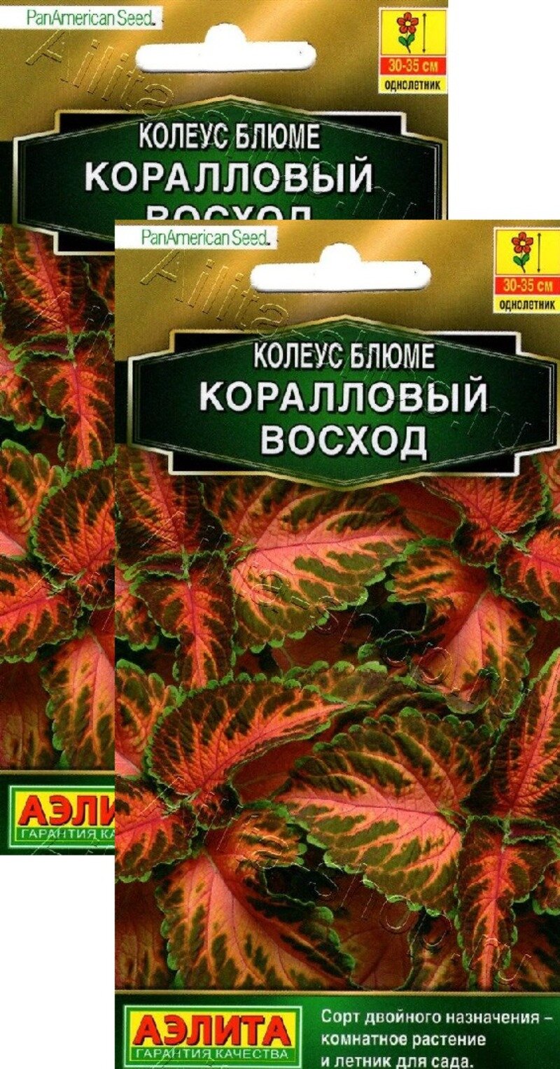 Семена Колеус блюме Коралловый восход (5 семян) 2 пакета Агрофирма Аэлита