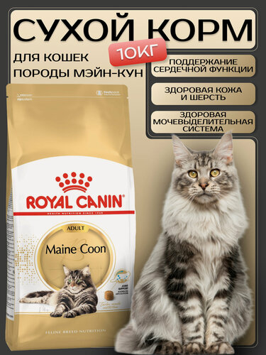 Изображение товара Royal Canin Maine Coon 31 Adult Сухой корм для взрослых кошек 10 кг