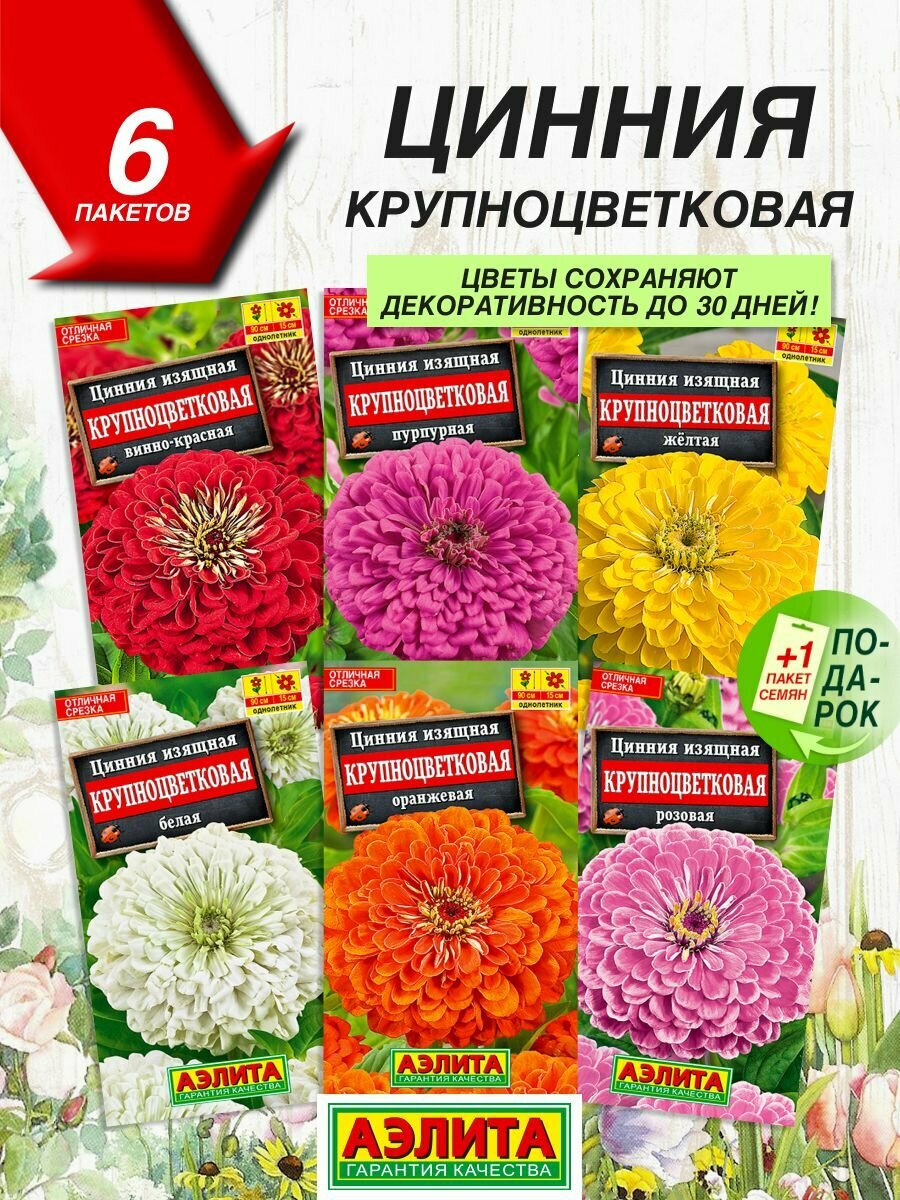 Семена цветов Аэлита Цинния крупноцветковая 6 сортов / Семена Циннии