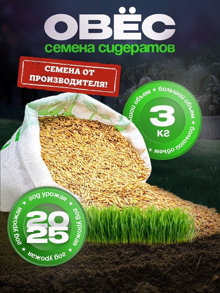 Семена Зеленый Уголок 