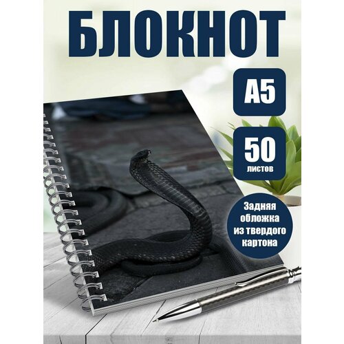 Тетрадь в клетку фотография Природа. Змеи
