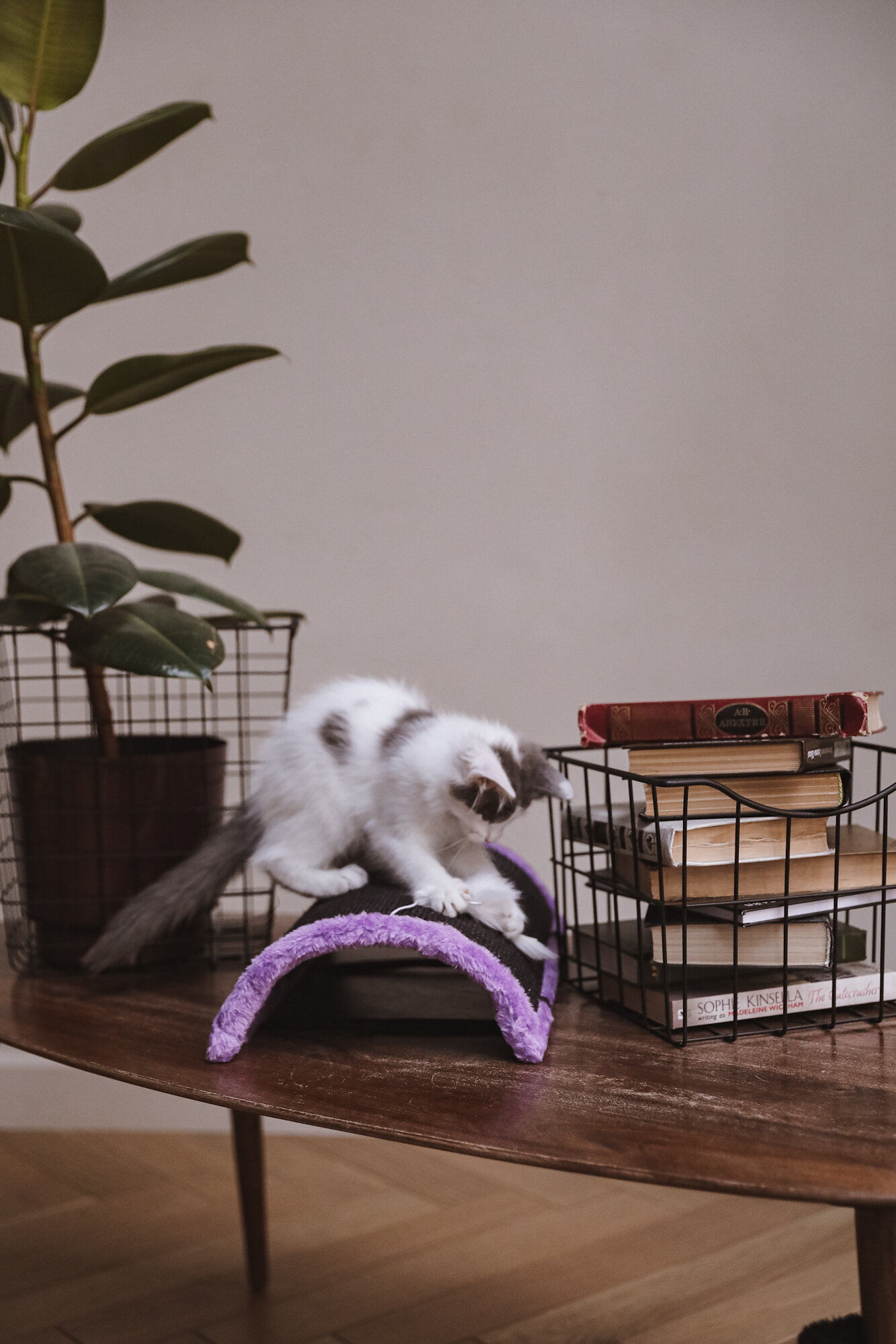 Когтеточка с игрушкой для кошек, "Не Один Дома" Мягкие лапки, фиолетовый, M - фотография № 8