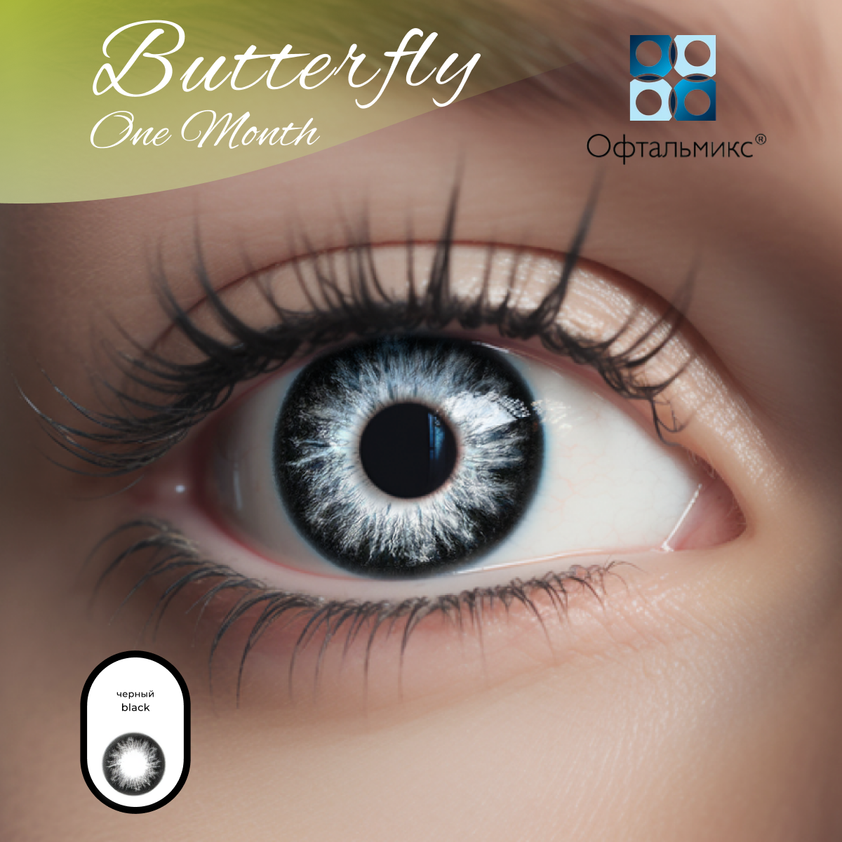 Цветные контактные линзы Офтальмикс Butterfly Color One Month (2 линзы) -2.50 R 8.6 Black (Черный)