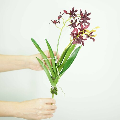 Орхидея темно-бордовая искусственная Бандай