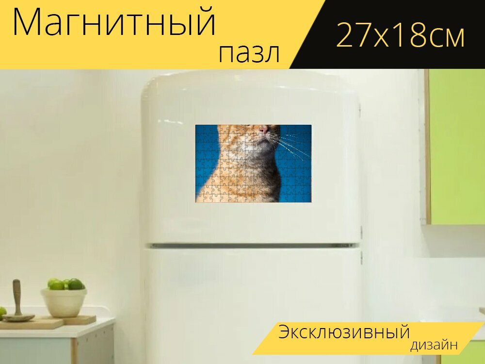 Магнитный пазл "Кот, шерсть, волосы" на холодильник 27 x 18 см.