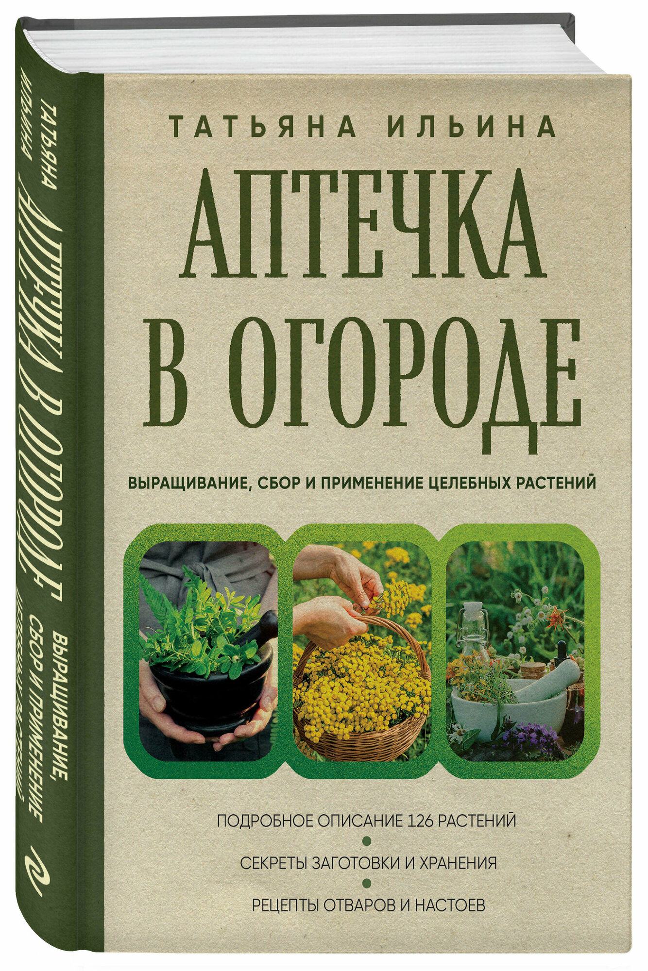 Аптечка в огороде. Выращивание, сбор и применение целебных растений - фото №1