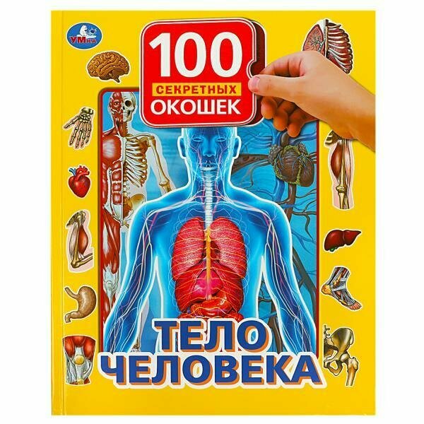 Книга «100 секретных окошек – Тело человека», Умка