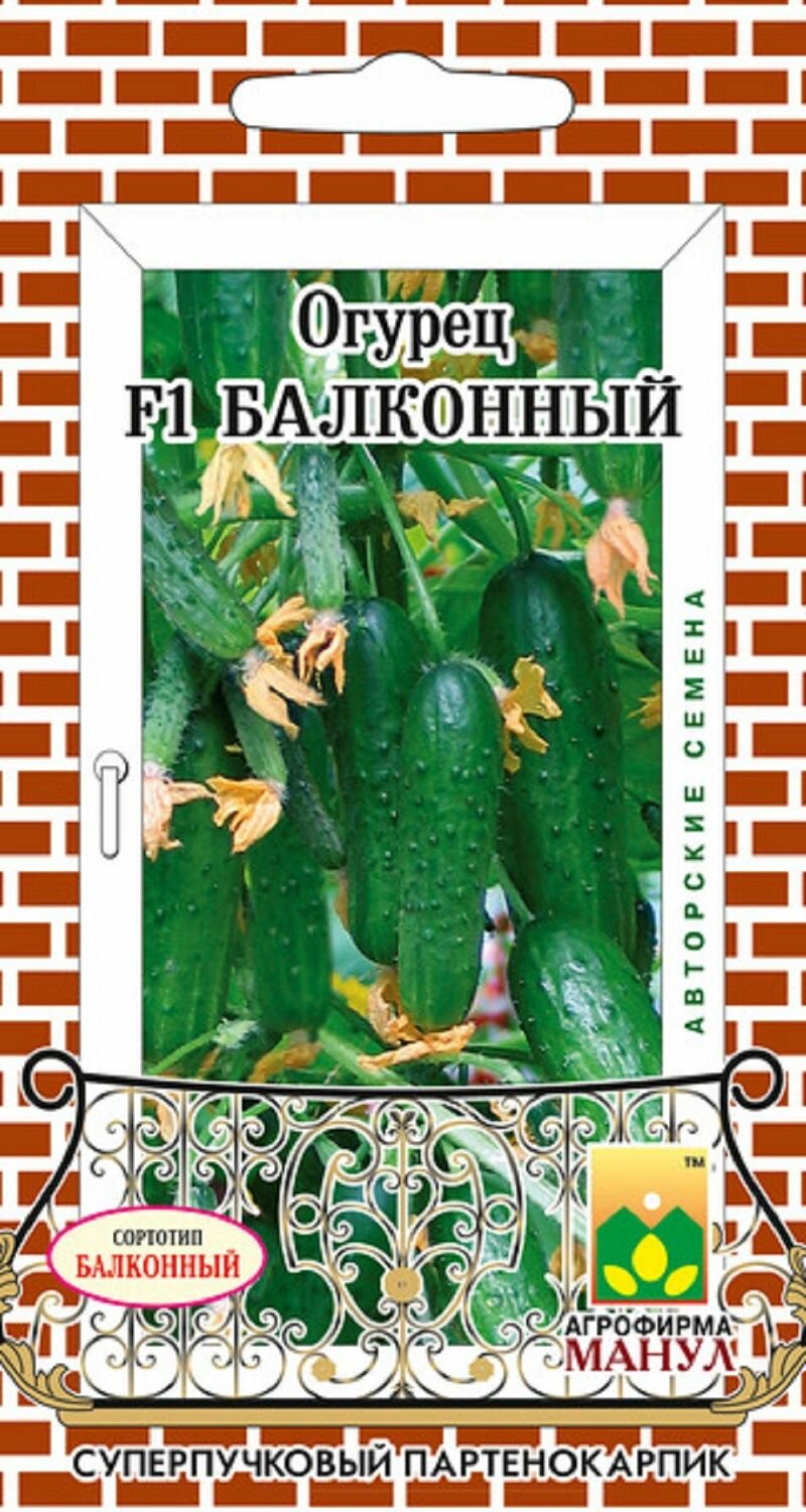 Семена огурец Балконный 10 штук (семян) , Манул , подходит для выращивания на балконах и лоджиях