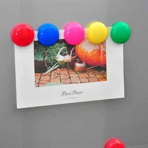 Магнитный держатель для досок Magtrade (диаметр 40 мм, 5 штук в упаковке)