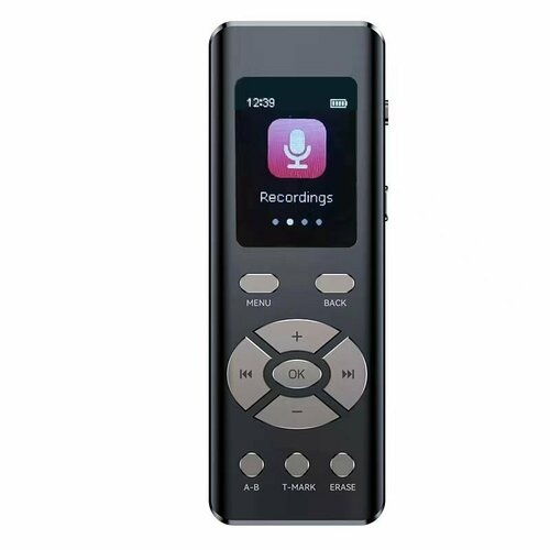 Цифровой диктофон SV-101 32 GB, до 15.5 часов непрерывной записи, голосовая активация, шумоподавление, защита паролем черный