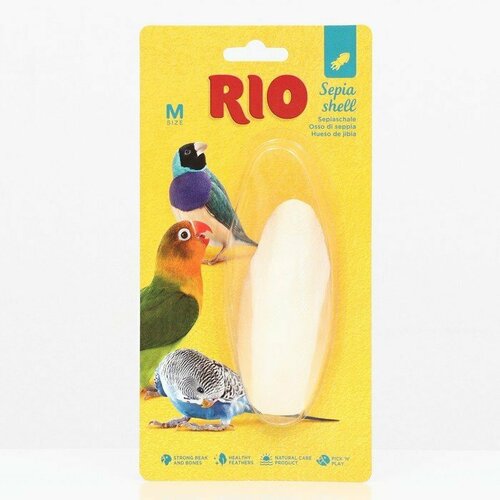 RIO Кость сепии, размер M, 1шт 10-12 см, белый (комплект из 4 шт) рио рио кость сепии панцирь каракатицы m