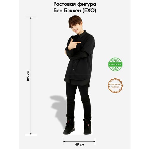 Аксессуар для фотосессий, Indoor-ad, Бен Бэкхен 2 (EXO) ростовая фигура