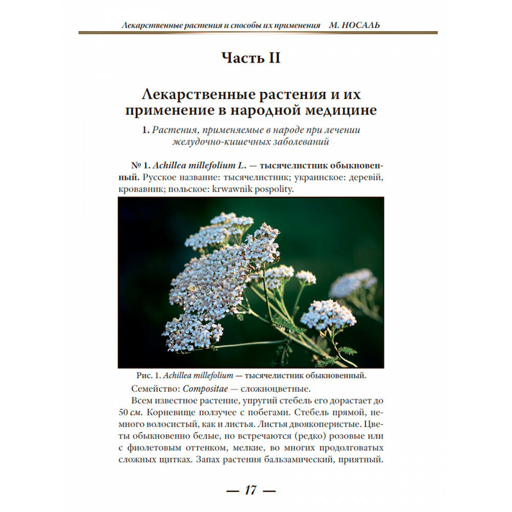 Лекарственные растения и способы их применения в народе - фото №7