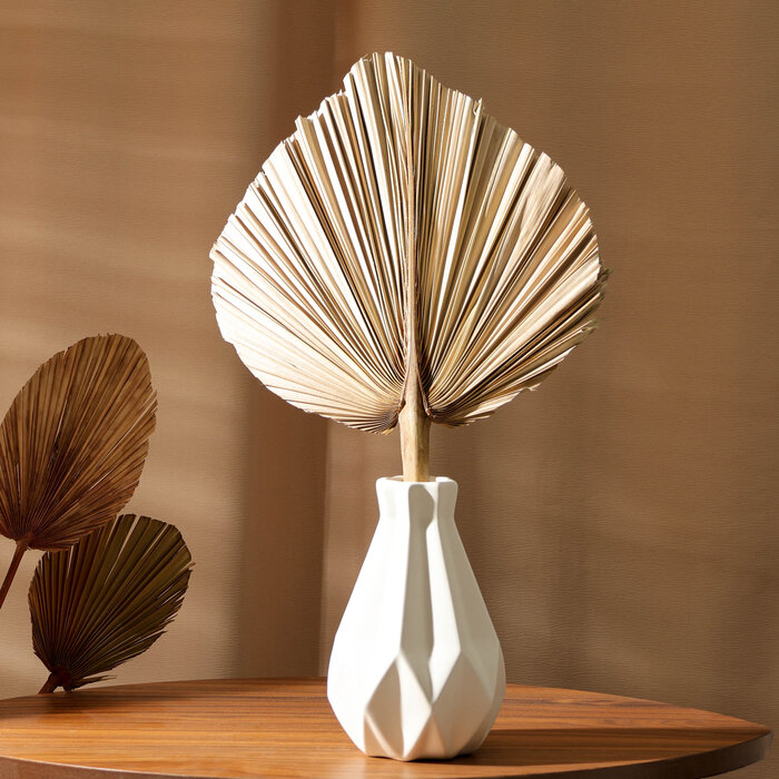 Сухие цветы «Лист пальмовый» 50×25×2 см